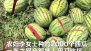 西安2000个西瓜被砍烂，是矛盾吗？人要积极