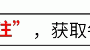 韩媒：陈梦就像万里长城，虽然申裕斌很拼但对手很难战胜