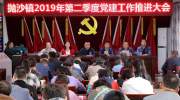 抛沙党建｜抛沙镇2019年第二季度党建工作推进大会