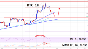 以太坊价格（ETH）修正收益：逢低收于224美元附近