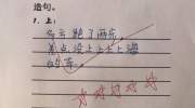 小学生造句犹如绕口令，看的舌头打结，网友：汉字博大精深