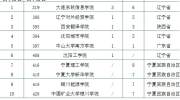 大连东软信息学院在教育部“国家双万计划”中排民办本科高校第一