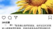 何猷启前妻发文回应离婚：不要去迁就委屈自己