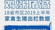 18省上半年家禽生猪出栏数据出炉！多省家禽增长10%、生猪全线下滑