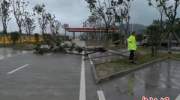 浙江台州启动Ⅰ级台风应急响应 台风利奇马什么时候登陆在哪里登陆