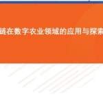 区块链在数字农业领域：2025年我国农业数字经济达1.3万亿元（可下载）