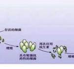 细菌对大蒜为什么没有抗药性？