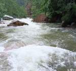 云树翠柏满山绿，雨后九水分外美