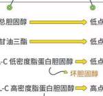 甘油三酯升高，不要急于吃药，医生告诉你应该怎么做