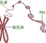  A型血和B型血父母，能生出O型血的小孩吗