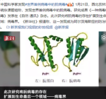 世界首例病毒中的朊病毒 或可防治老年痴呆症