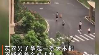 男子为狗报仇打死金毛犬被刑拘，双方都未牵绳如何划定责任？