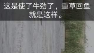 啊～～～，这销魂的声音。