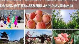 缤纷采摘季甜蜜凤凰游▏“2019张家港凤凰水蜜桃缤纷采摘节”活动攻略