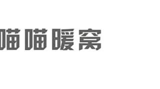 母斑马倒地不起要生产，不料飞来一只秃鹫，镜头记录下全过程