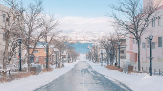 冬天的北海道有多美？白雪、大海、泡汤、动物园，总有一个满足你