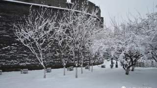 雪后的卢沟桥宛平城，处处裹银装。养眼美图来啦！