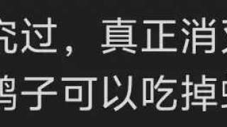 成都‘米开朗击螺’爆红网络！弹弓如何成功击退入侵福寿螺？