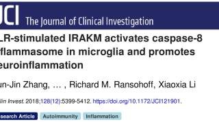 JCI | 南京大学张存金组发现多发性硬化症免疫病理新机制