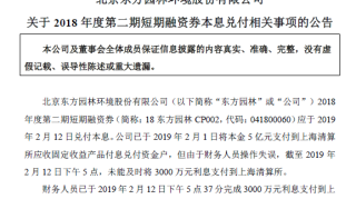 东方园林澄清“债券违约”：系财务人员操作失误，资金已到位