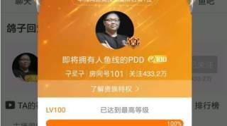 PDD首秀总结：打破斗鱼八大历史记录，卢本伟都超越不了？