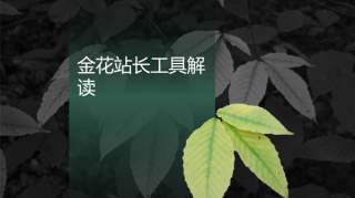 金花站长工具都有哪些功能，金花站长工具好用吗？