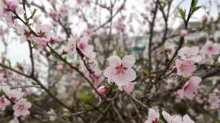 【徐水中医院】节日出行、安全提示