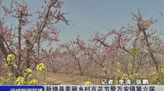 新绛县美丽乡村百花节暨万安镇第六届桃花观光交流会开幕