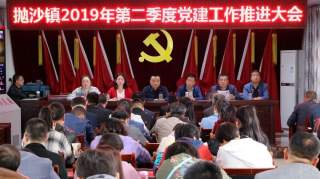 抛沙党建｜抛沙镇2019年第二季度党建工作推进大会