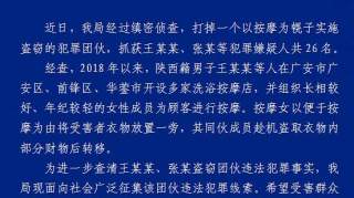 关于征集王某某、张某等人盗窃违法犯罪线索的通告