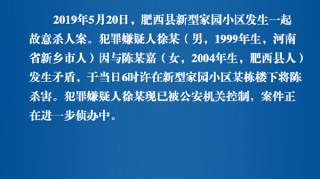 安徽肥西：20岁男子因矛盾杀害15岁女孩，已被警方控制