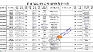 快睇！2019信宜市公开招聘教师338人！（内附职位表）