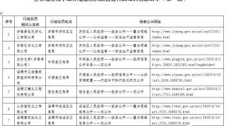 山东公示危化品生产“飞检”结果 首批21家企业收到处罚决定书