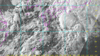 台风来了，梅雨要结束了？上海气象部门：别急，舒服“美雨”继续