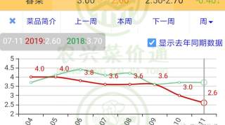 2019年7月11日销售市场行情