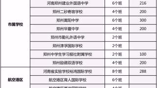 2019郑州民办小升初志愿学校摇号未中、面谈未过，你该怎么做？