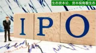 IPO造假警示录