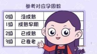 什么是胎盘分级？检查单提示胎盘过早成熟或胎盘钙化是什么问题？