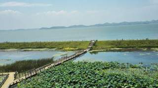 夏日的鄱阳湖， 时光静美，一切皆好