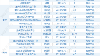 2019年上半年西南商业地产半年报