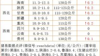 猪价继续走高，部分省份近期或回调