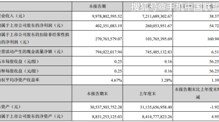 FPC市场份额提升，东山精密上半年净利增长55%