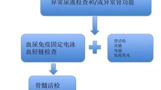 单克隆球蛋白病的诊断及治疗|MGRS