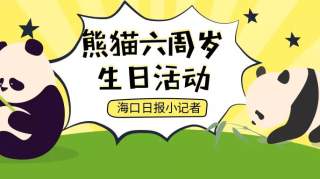 【活动回顾】本报小记者给大熊猫“贡贡”“舜舜”过六岁生日