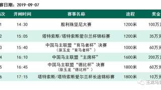 西安马主李勇赛驹“勇强旋风”豪取国内最贵200万奖金中国马主联盟主席杯冠军