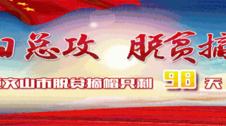 “开化曝光台•不文明行为随手拍”这些电杆招惹谁了？