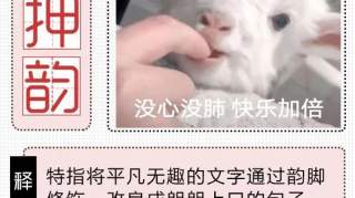 当朱广权遇上沙雕网友，押韵狂魔花落谁手？