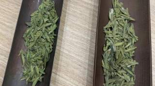 【沙龙活动】共品香茗