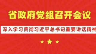 省政府党组召开会议深入学习贯彻习近平总书记重要讲话精神