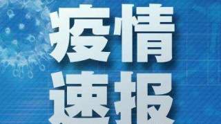 南阳新增确诊病例情况介绍（2月10日）